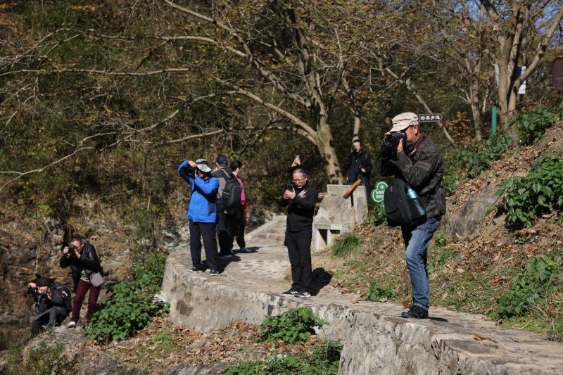 曉天鎮：省市攝影家一行聚焦大別山狼谷景區